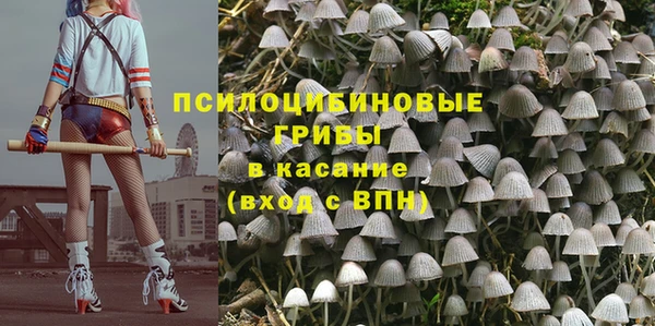 эйфоретик Верхний Тагил