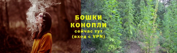 mdma Бородино